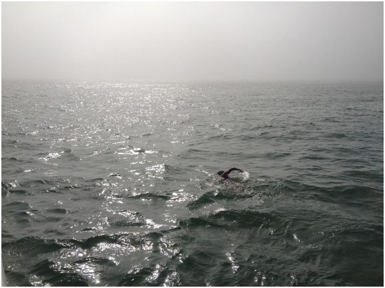 Paul Maggs Swimming for Steyning Athletic Club. Channel Swim, Long Distance Swim Events